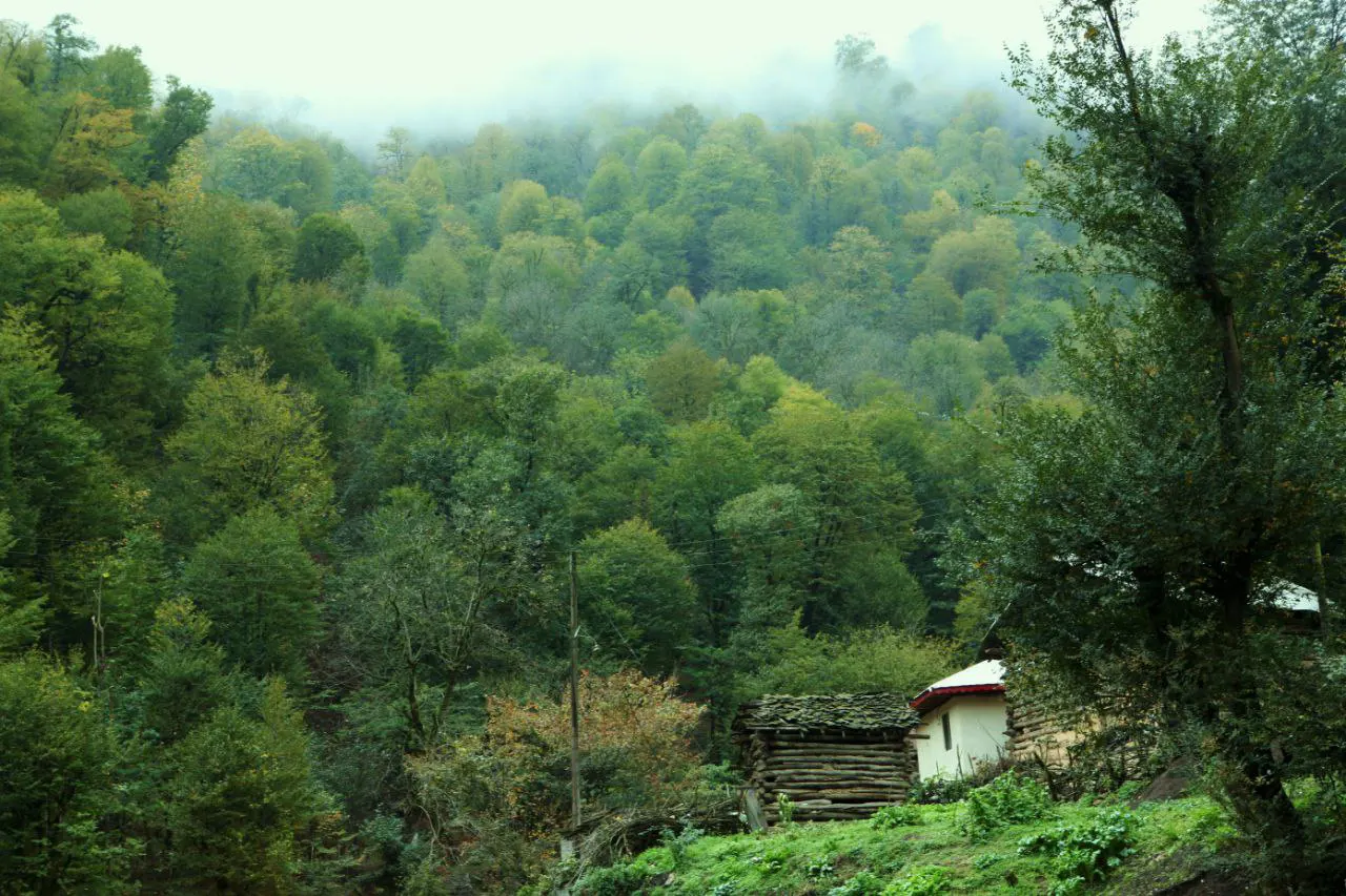 تصویر 1